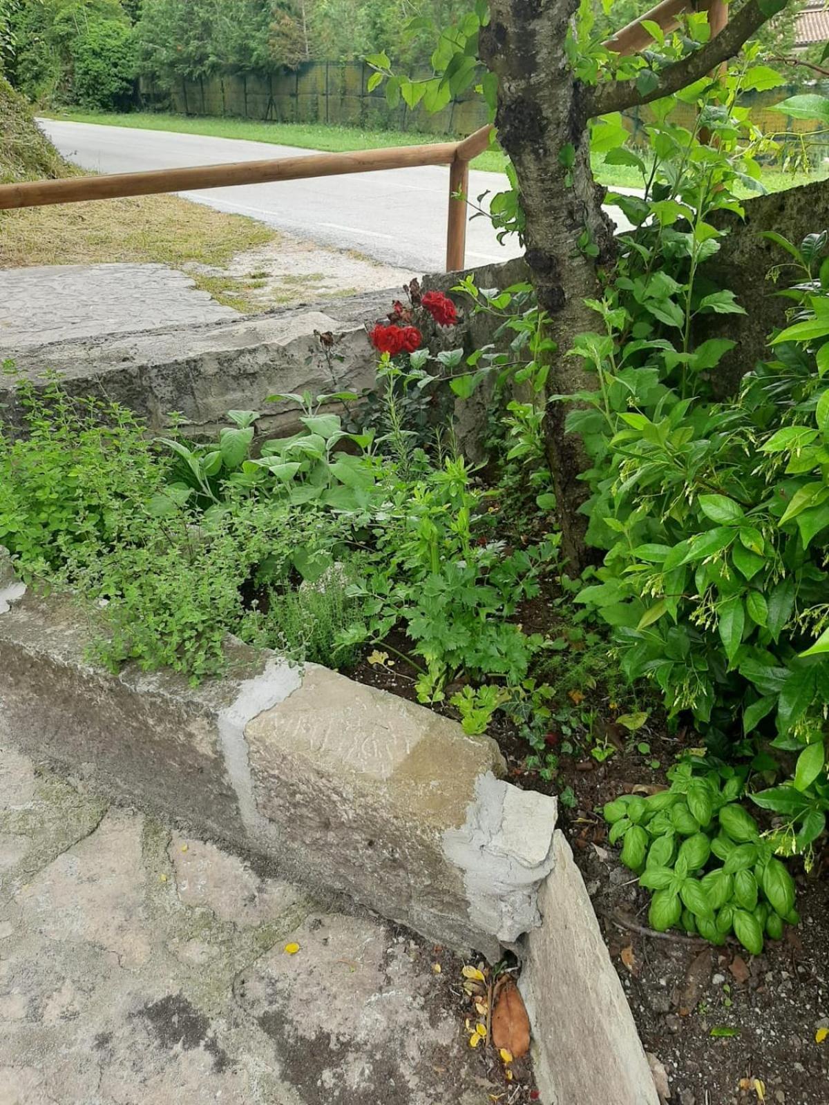 شقة Il Caminetto Carpinone المظهر الخارجي الصورة